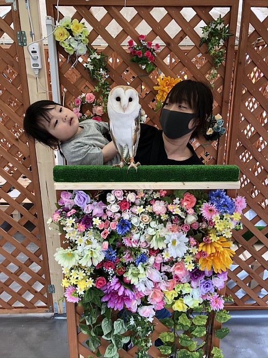 秋田ふくろうプロジェクト