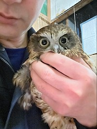 ココを抱き抱えた様子